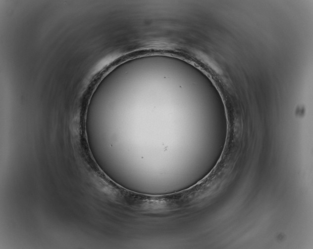 X0000102011315200807251259