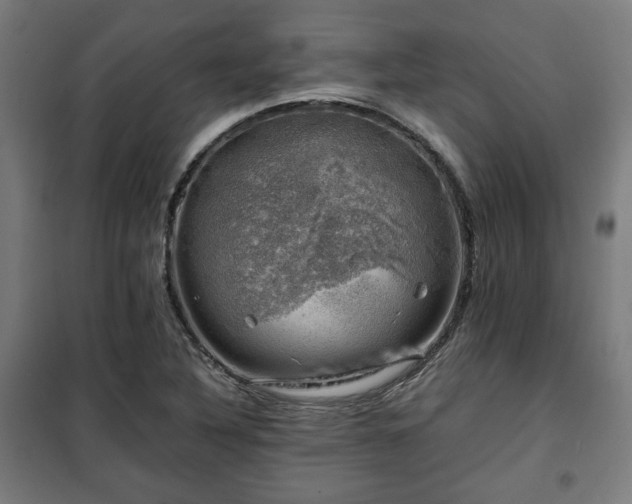X0000102011316200807251259