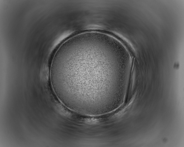 X0000102011317200807251259