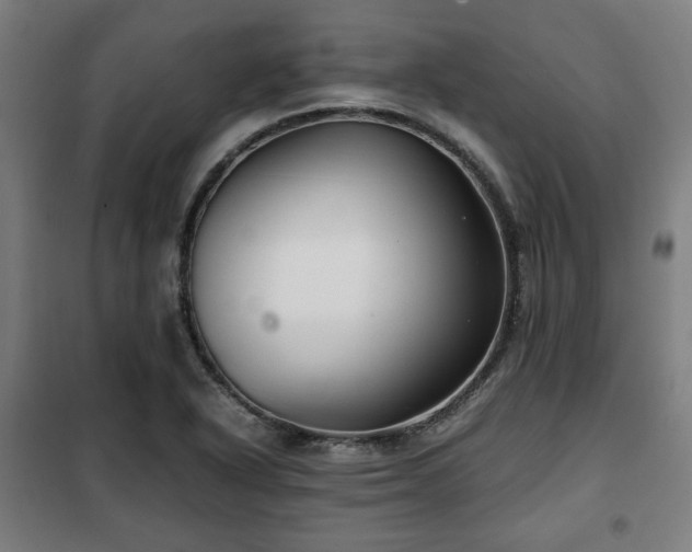 X0000102011318200807251259