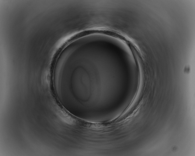X0000102011319200807251259