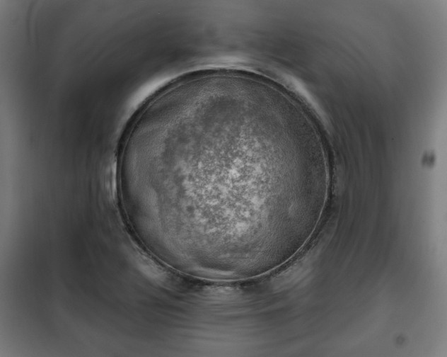 X0000102011320200807251259
