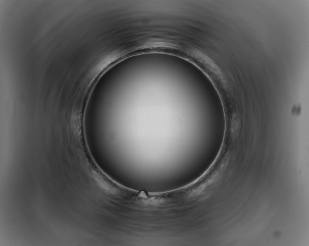 X0000102011321200807251259