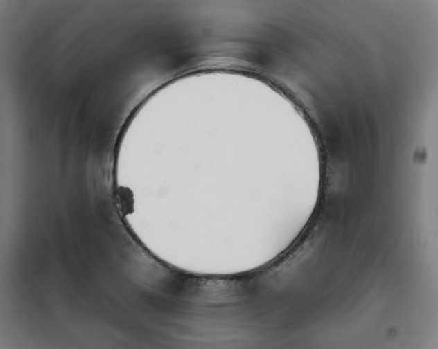 X0000102011322200807251259