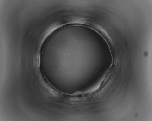 X0000102011323200807251259