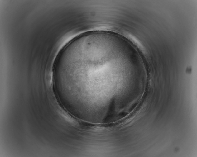 X0000102011324200807251259