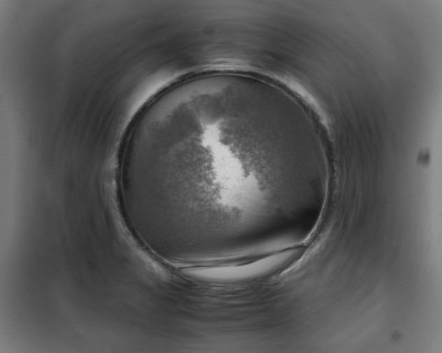 X0000102011325200807251259