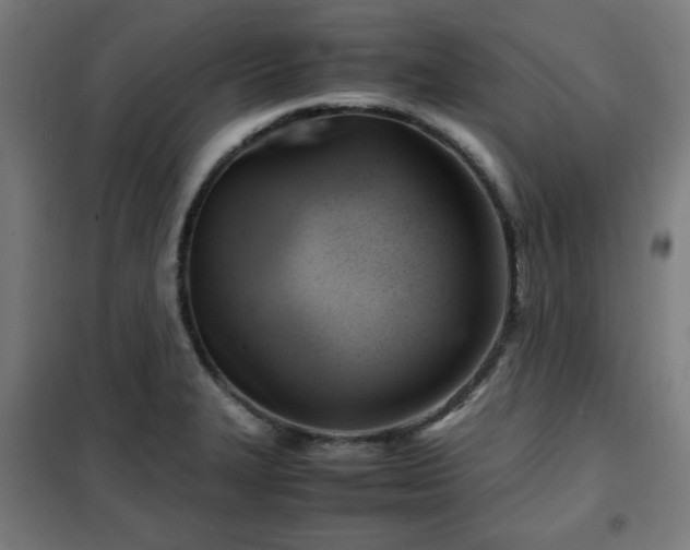 X0000102011327200807251259