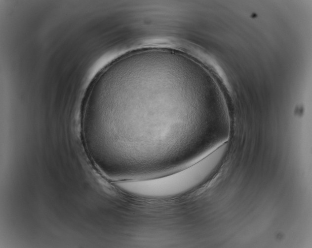 X0000102011328200807251259