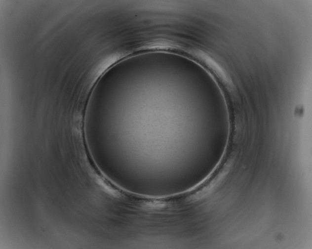 X0000102011329200807251259