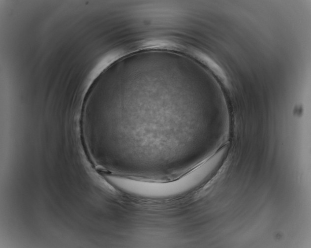 X0000102011330200807251259