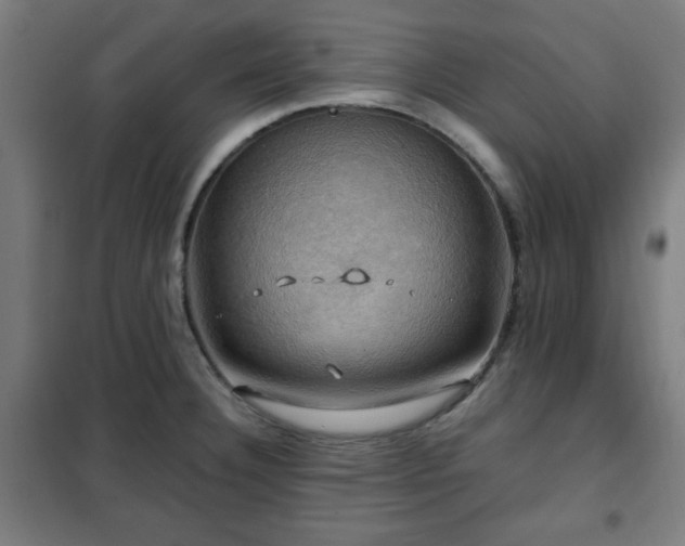 X0000102011332200807251259