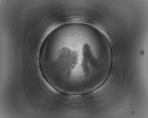 X0000102011333200807251259