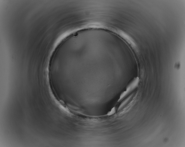 X0000102011334200807251259