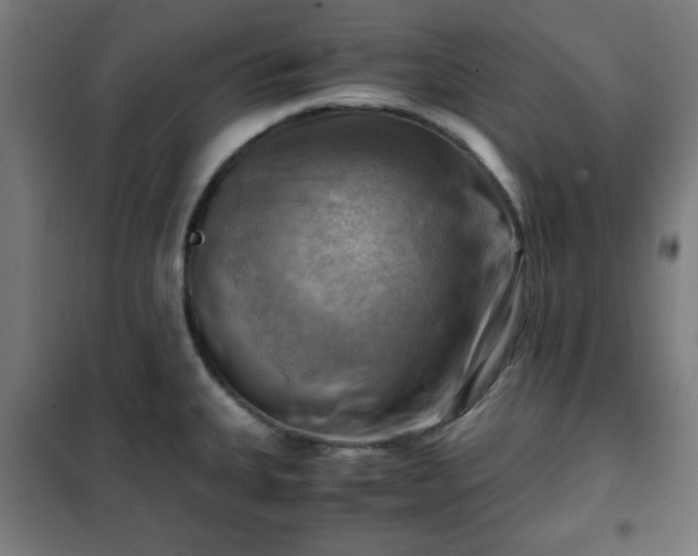 X0000102011335200807251259