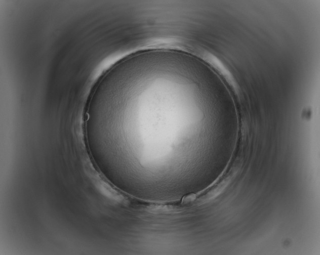 X0000102011336200807251259