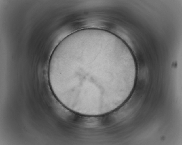X0000102011338200807251259
