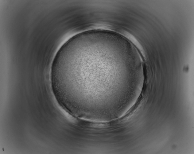 X0000102011339200807251259