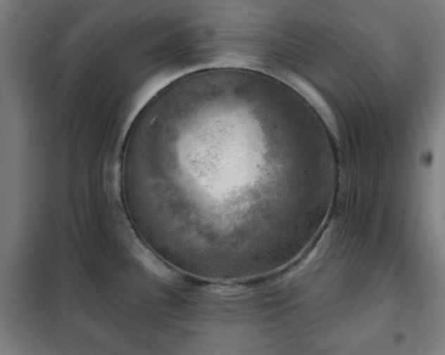 X0000102011340200807251259