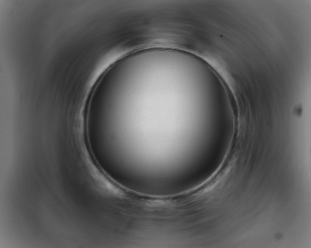 X0000102011341200807251259