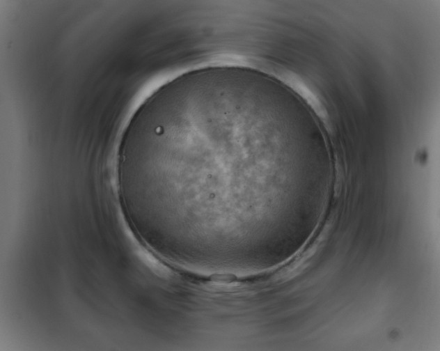 X0000102011342200807251259