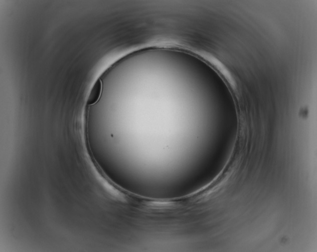 X0000102011343200807251259