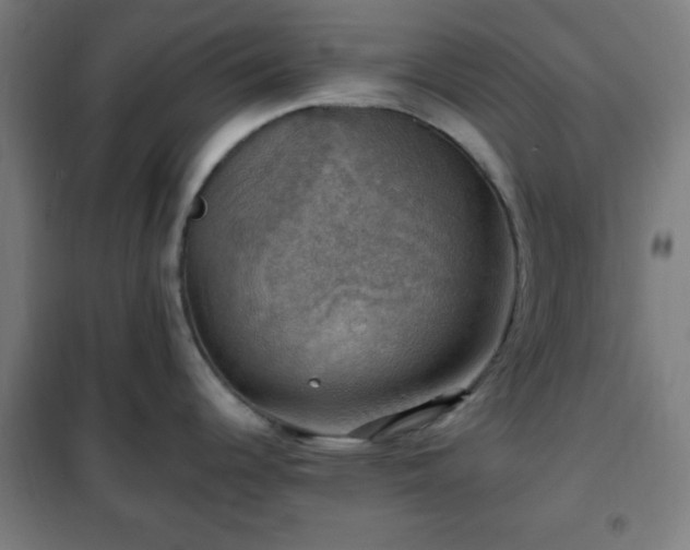 X0000102011344200807251259