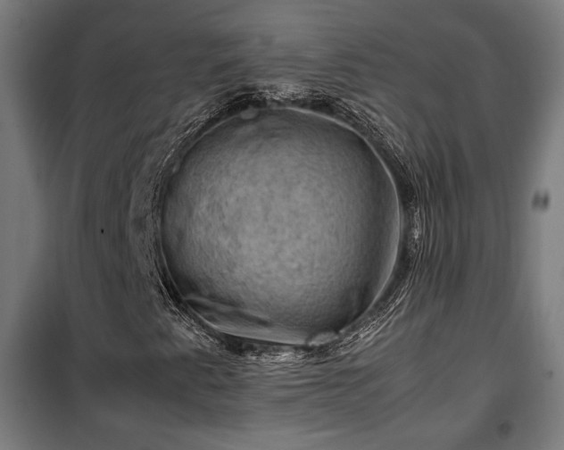 X0000102011345200807251258