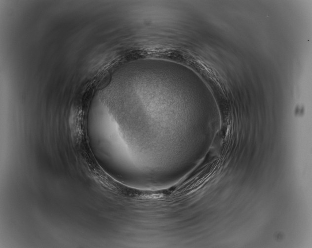 X0000102011346200807251258