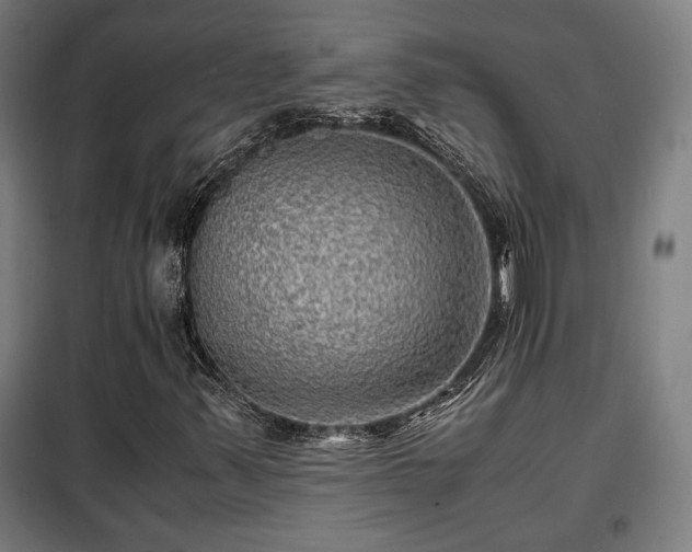 X0000102011347200807251258