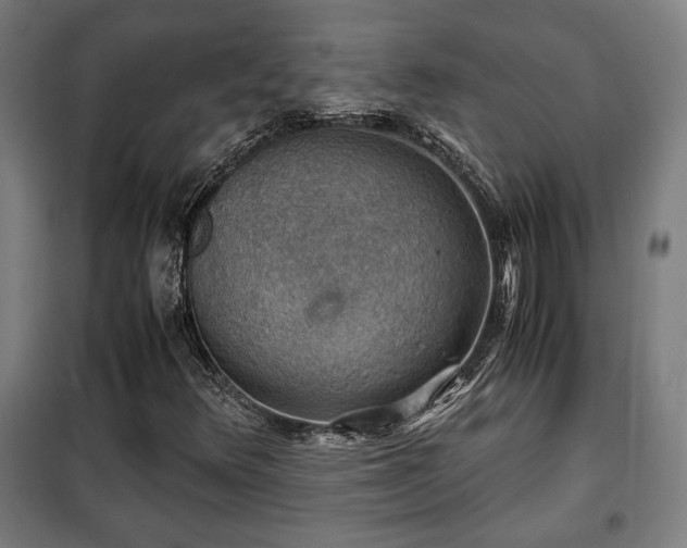 X0000102011348200807251258