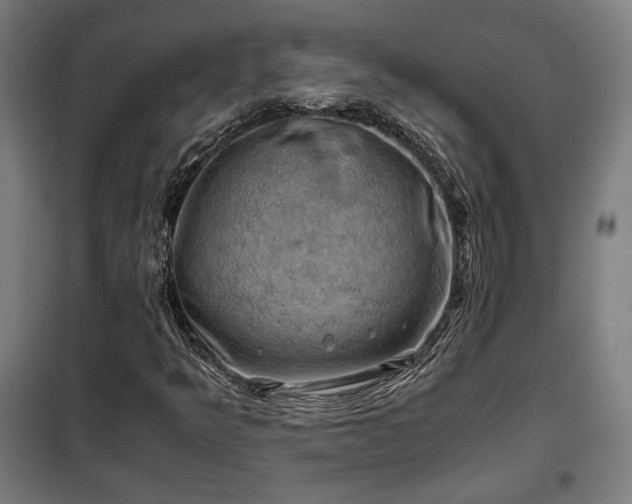 X0000102011349200807251258