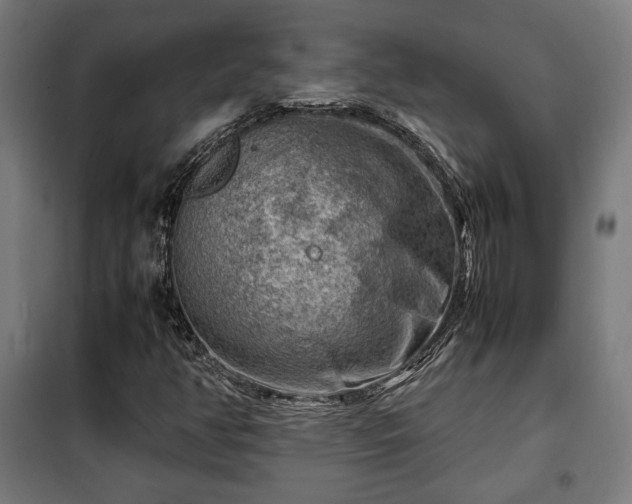X0000102011350200807251258