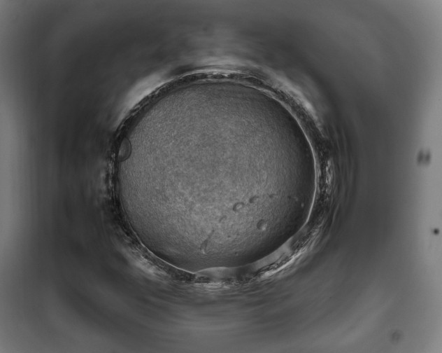 X0000102011352200807251258