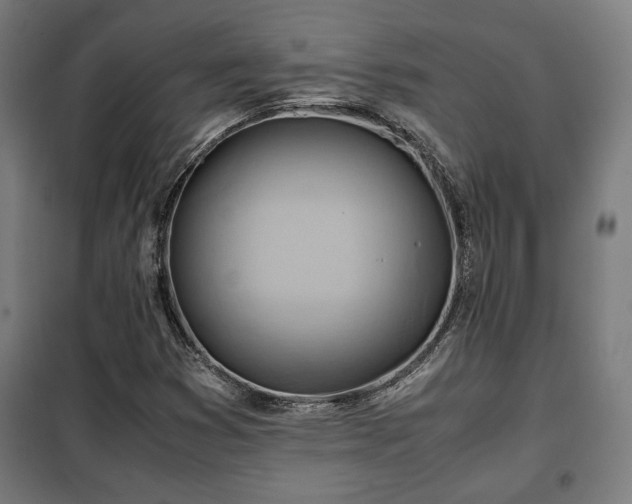 X0000102011353200807251258