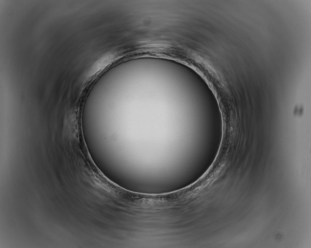 X0000102011354200807251258