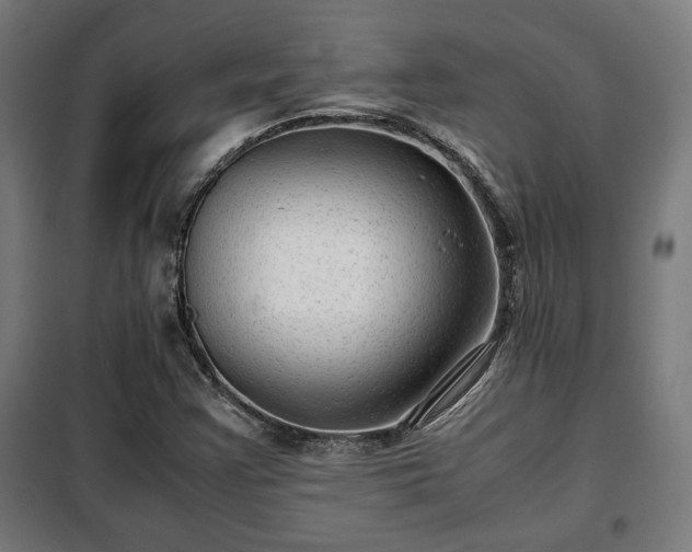X0000102011355200807251258