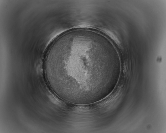 X0000102011356200807251258