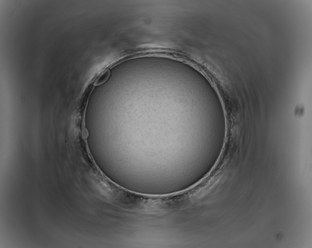 X0000102011357200807251258