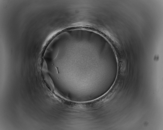X0000102011358200807251258