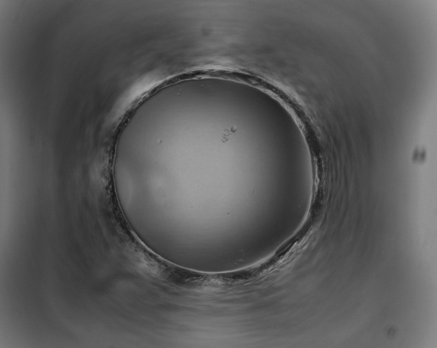 X0000102011359200807251258