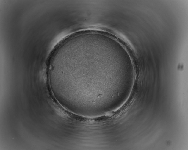 X0000102011360200807251258
