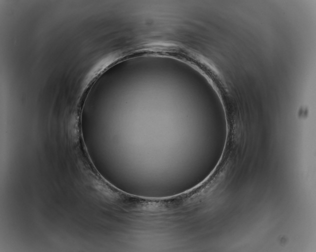 X0000102011362200807251258