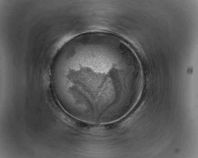 X0000102011363200807251258