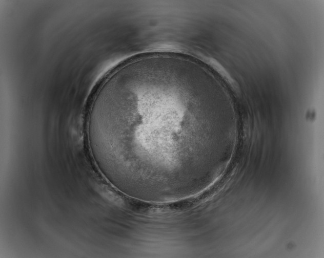 X0000102011364200807251258
