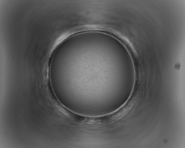 X0000102011365200807251258