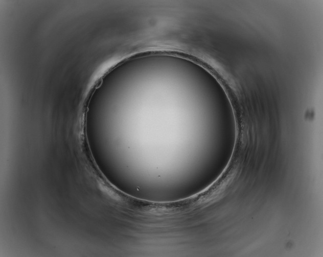 X0000102011366200807251258