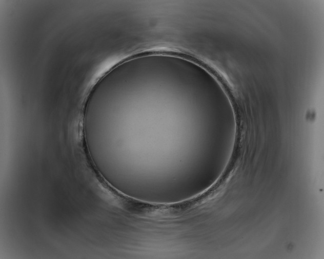 X0000102011367200807251258