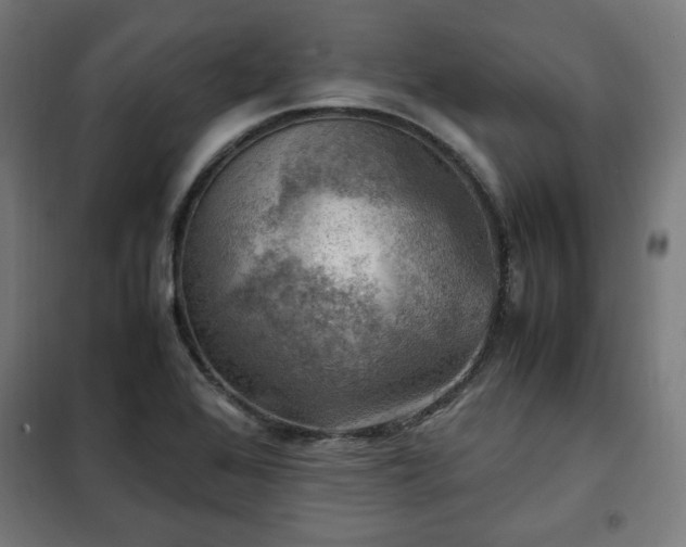 X0000102011368200807251258