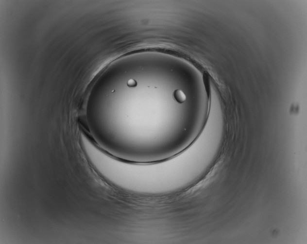 X0000102011369200807251258